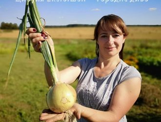 Цибуля Ексібішен — городнє диво