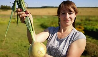 Цибуля Ексібішен — городнє диво