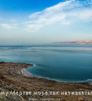 Чому Мертве море так називається?