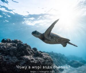 Чому в морі вода солона?