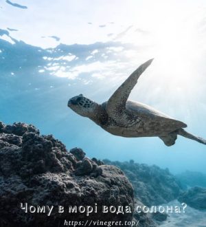 Чому в морі вода солона?