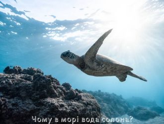 Чому в морі вода солона?