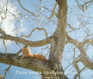 Коли земля пробуджується