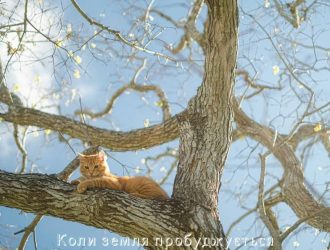 Коли земля пробуджується