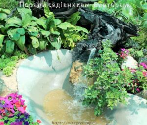 Ландшафтний дизайн присадибної ділянки