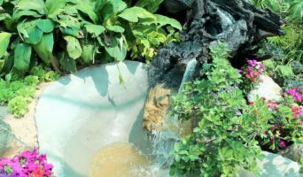 Ландшафтний дизайн присадибної ділянки