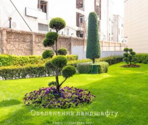Озеленення ландшафту