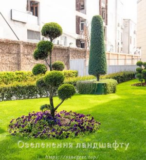 Озеленення ландшафту