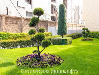 Озеленення ландшафту