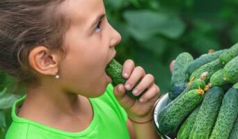 Секрети вирощування огірків