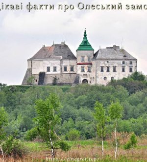 Цікаві факти про Олеський замок