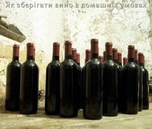 Як зберігати вино в домашніх умовах
