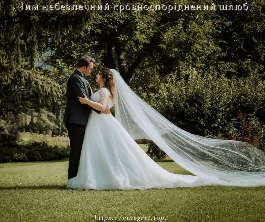 Чим небезпечний кровноспоріднений шлюб Кровноспоріднений шлюб, споріднений шлюб