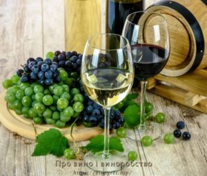 Про вино і виноробство