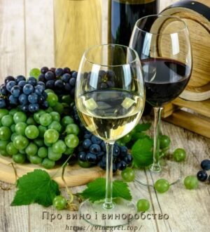 Про вино і виноробство