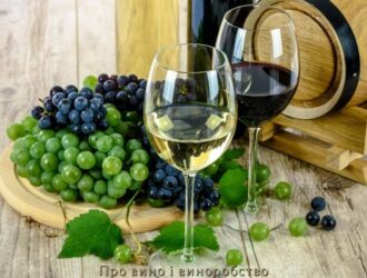 Про вино і виноробство