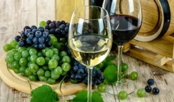 Про вино і виноробство
