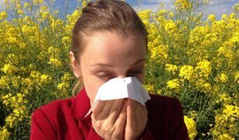 Якщо ви алергік