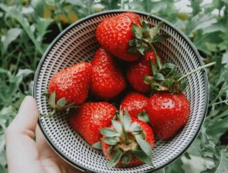 Правильна посадка суниці великоплідної