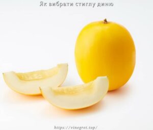 Як вибрати стиглу диню