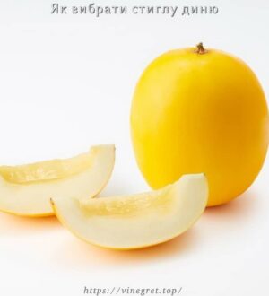Як вибрати стиглу диню