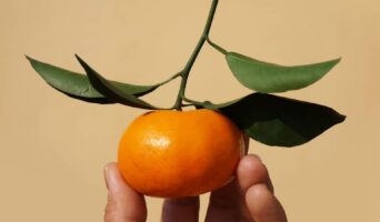 Як вибрати мандарини?