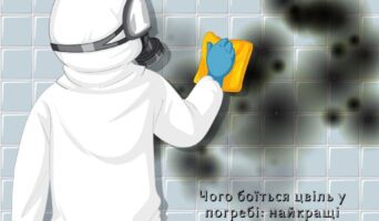 Чого боїться цвіль у погребі: найкращі способи позбутися цвілі