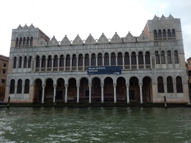 Венеціанський детектив: Венеція в детективах Донни Леон