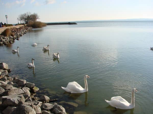 Озеро Балатон.