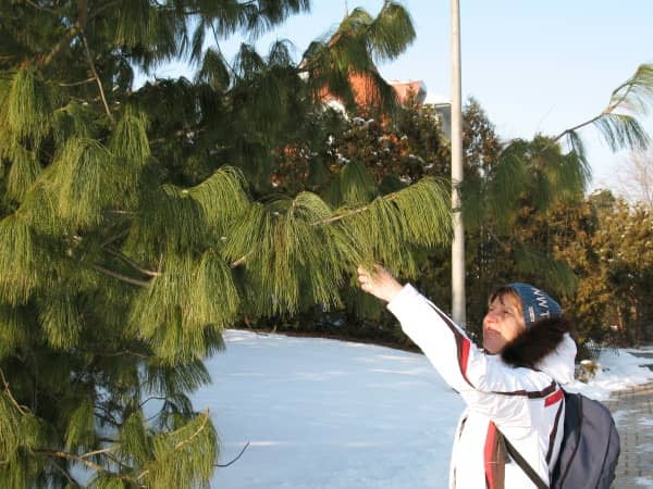 Відпочинок на озері Хевіз взимку: визначні місця Угорщини